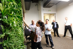 Living Vegetative Wall LPA Irvine