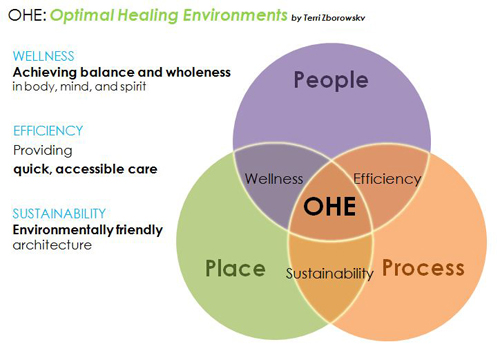 Optimal Healing Environments Graphic