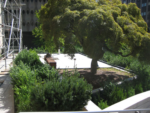 Green Roof Sustainable Design Seattle