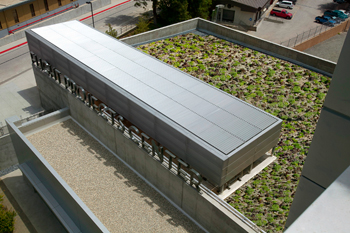 Green Leadership Award Winning Green Roof