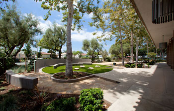 Santa Fe Springs Library Landscape