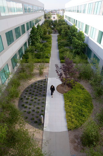 LEED Gold Landscape Architecture, Toyota