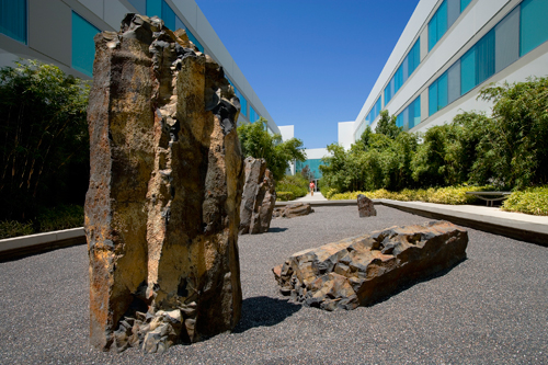 Zen Garden at Toyota South Campus