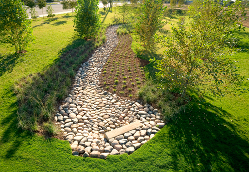 Water Efficient Bioswale at Brea Sports Park