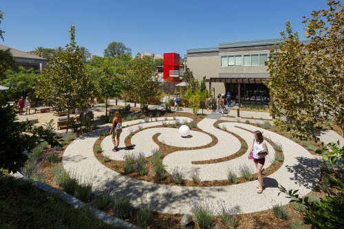 CSU Northridge Oasis Wellness Center